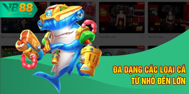 Đa dạng các loại cá từ nhỏ đến lớn